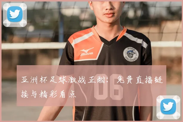 亚洲杯足球激战正酣：免费直播链接与精彩看点