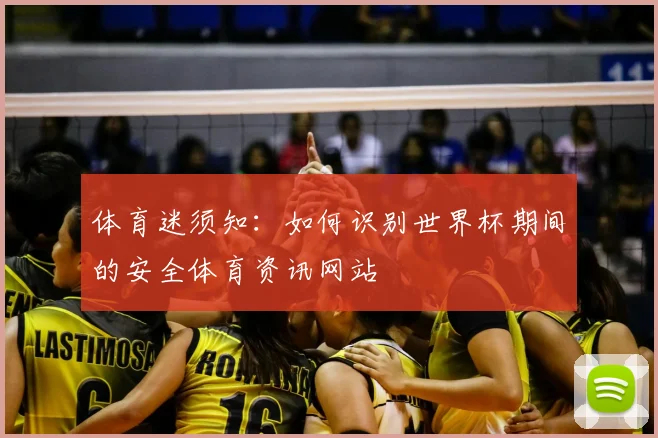 体育迷须知：如何识别世界杯期间的安全体育资讯网站