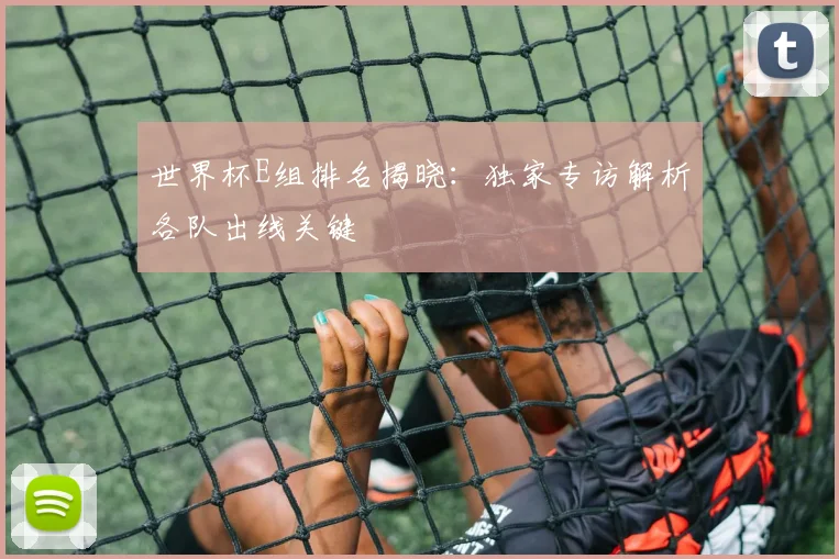 世界杯E组排名揭晓:独家专访解析各队出线关键
