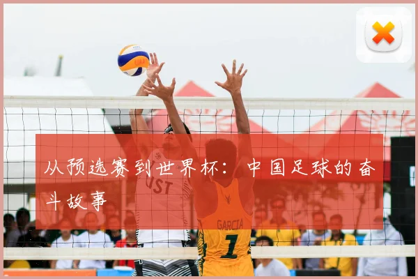 从预选赛到世界杯:中国足球的奋斗故事