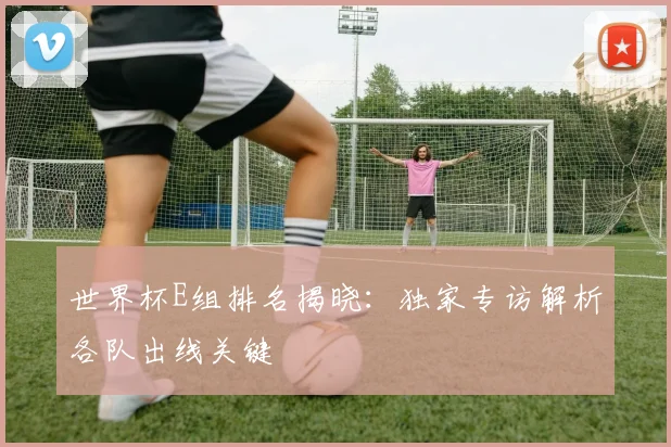 世界杯E组排名揭晓:独家专访解析各队出线关键