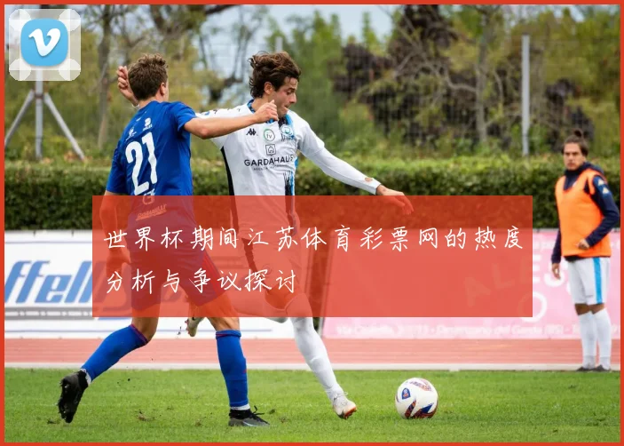 世界杯期间江苏体育彩票网的热度分析与争议探讨
