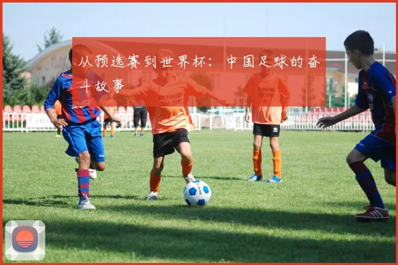 从预选赛到世界杯:中国足球的奋斗故事